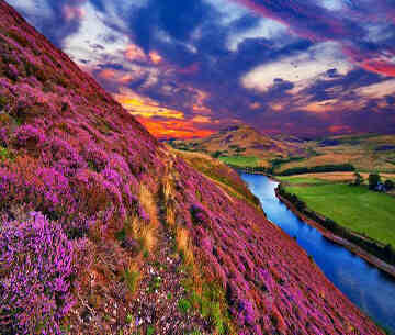 Chardham with Valley of Flower Package