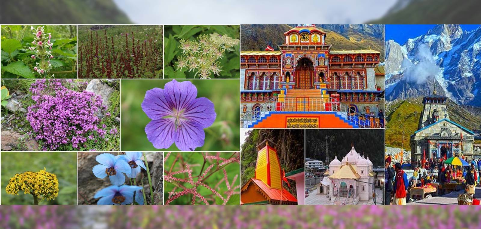 Chardham with Valley of Flower Package